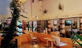 Zen Cosmetics