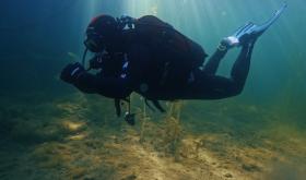 Divers.Life