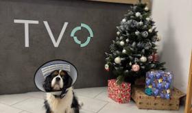 TVO
