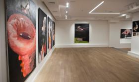 VOLOSHYN GALLERY