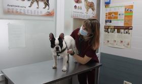 Vet-House