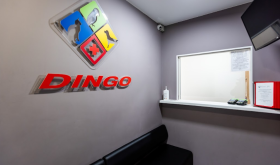 DINGO