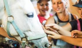 Pony Club