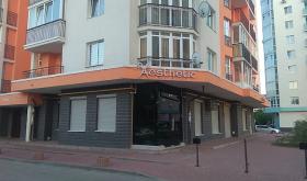 Aesthetic Style Salon