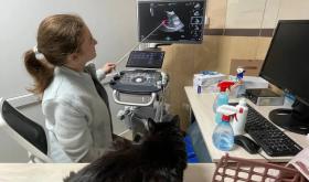 AvicenaVet