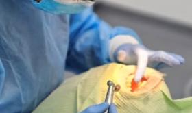 Dental Town
