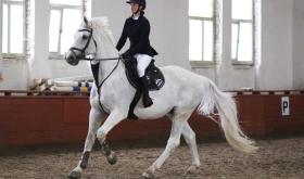 Lemberg Horse Club