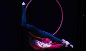 Lova Sport Studio