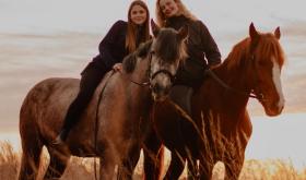 Horses Grand Amour