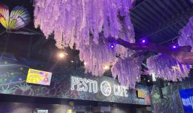 Pesto Cafe