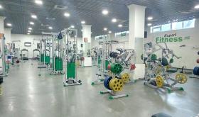FitnessExpert