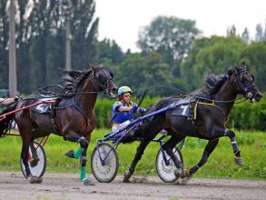 Київський іподром