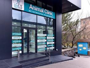 Animal Clinic