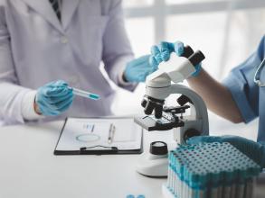 Dniprolab