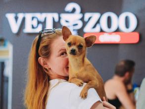 VETZOO clinic