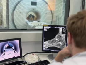 Абсолют МРТ 3t