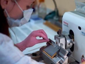 Західноукраїнська гістологічна лабораторія