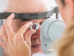 Естет Оптика