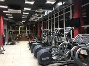 Stay Fit