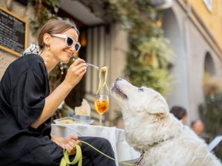 Pet-friendly