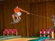 Jumping Hall