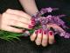 D.K. Nails
