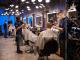 Impero Barbers