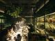 4844 Outlaw Bar