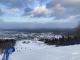 Буковиця