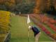 Edem Golf Club