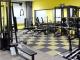 Tiger Fitness
