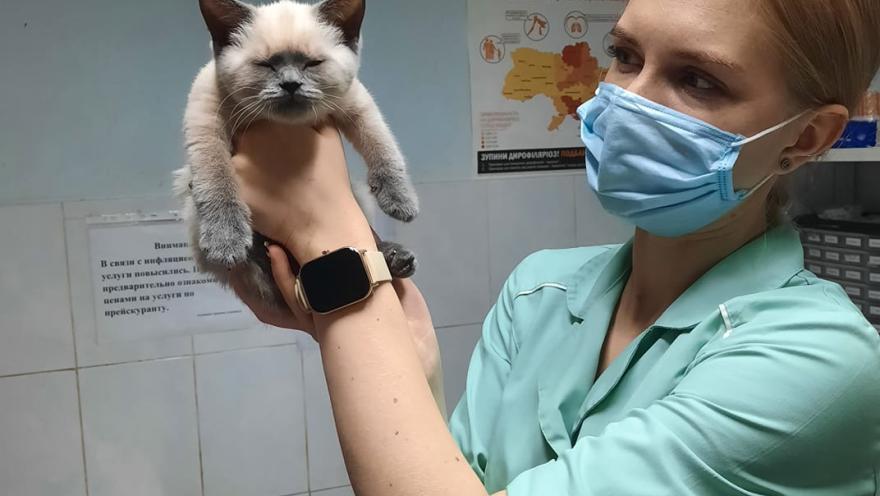 Полівет