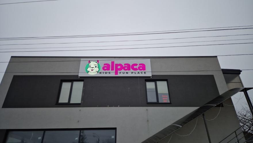 Alpaca