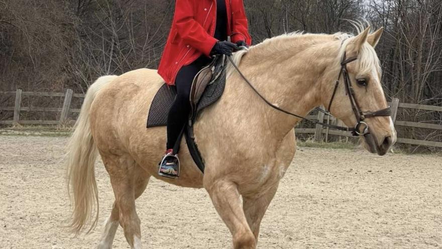 Каретний Двір