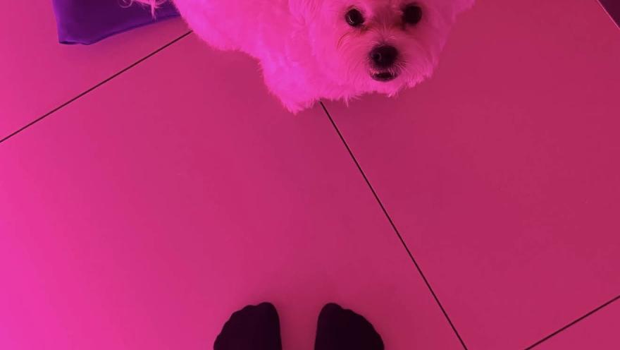 Студія професійного стретчингу Марії Лисиці