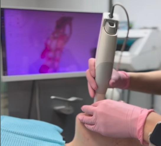 Dmytryshyn Institute