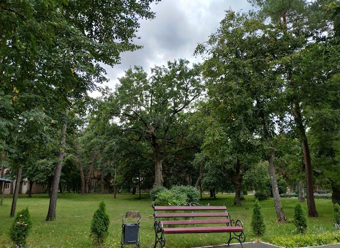 Жовтень