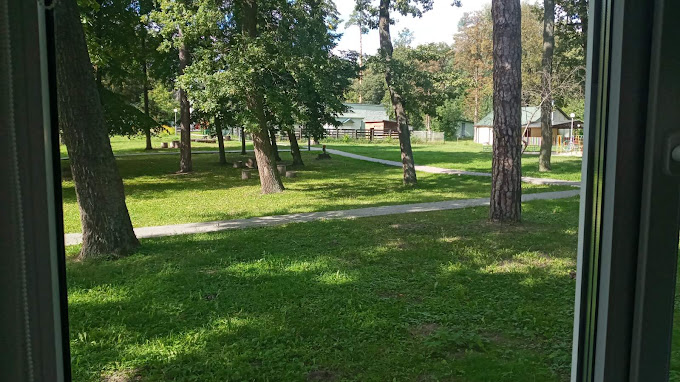 Салют