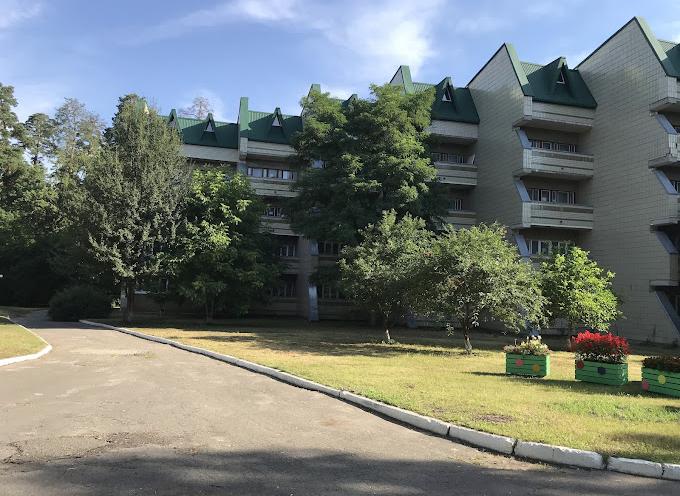 Ялинка