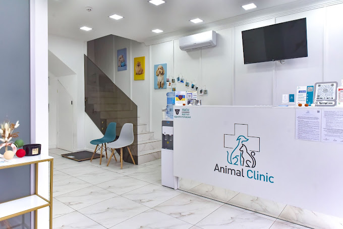 Animal Clinic