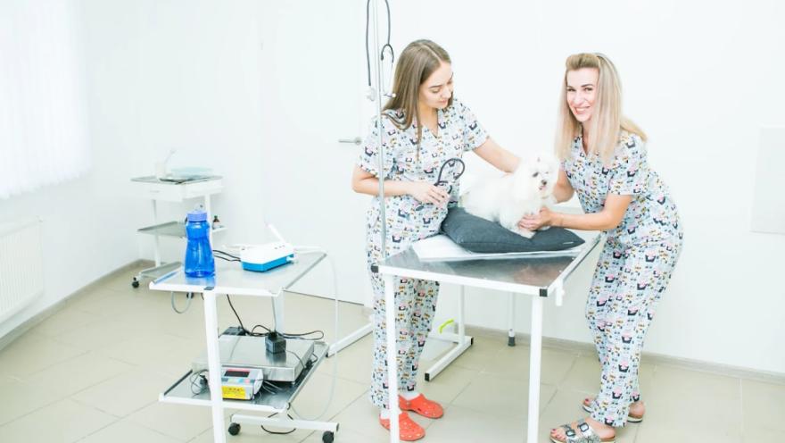 Ветмедкомплекс