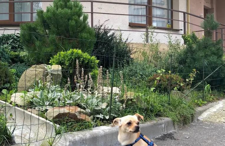 Ветмедкомплекс