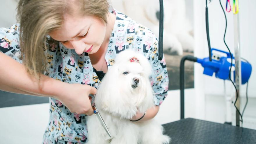 Ветмедкомплекс