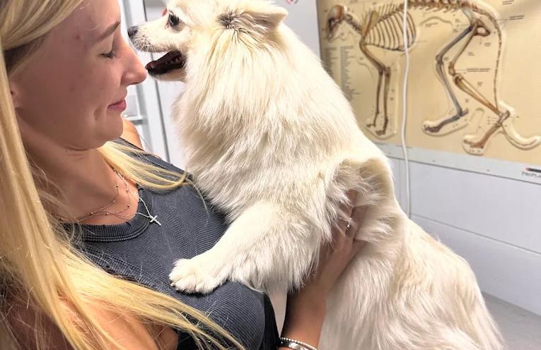 Вуса Kапи Хвіст