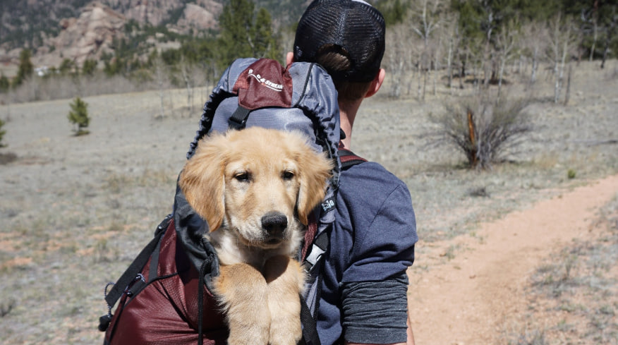 ВЕТ Простір