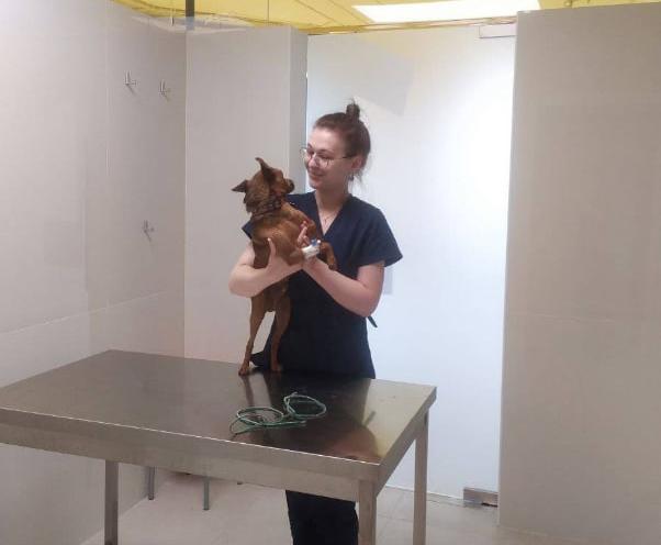 ВЕТ Простір