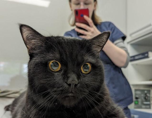 ВЕТ Простір