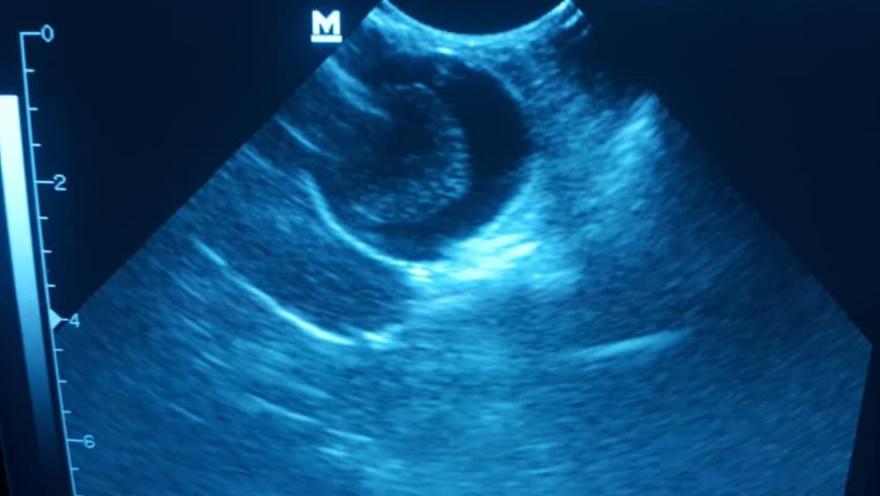 ВЕТ Простір