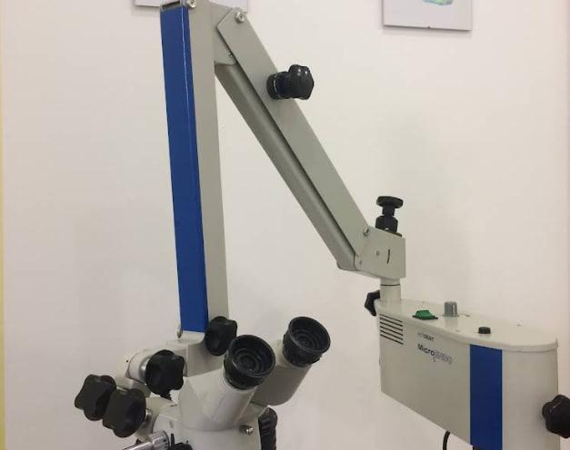 Аполінарія