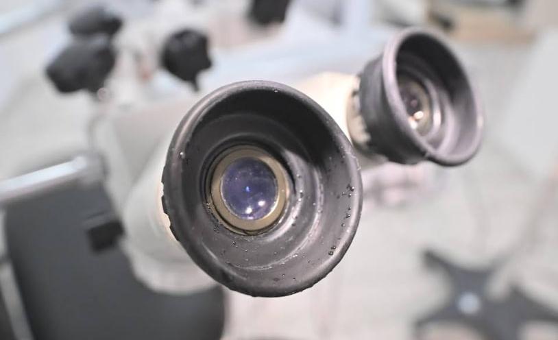 Аполінарія